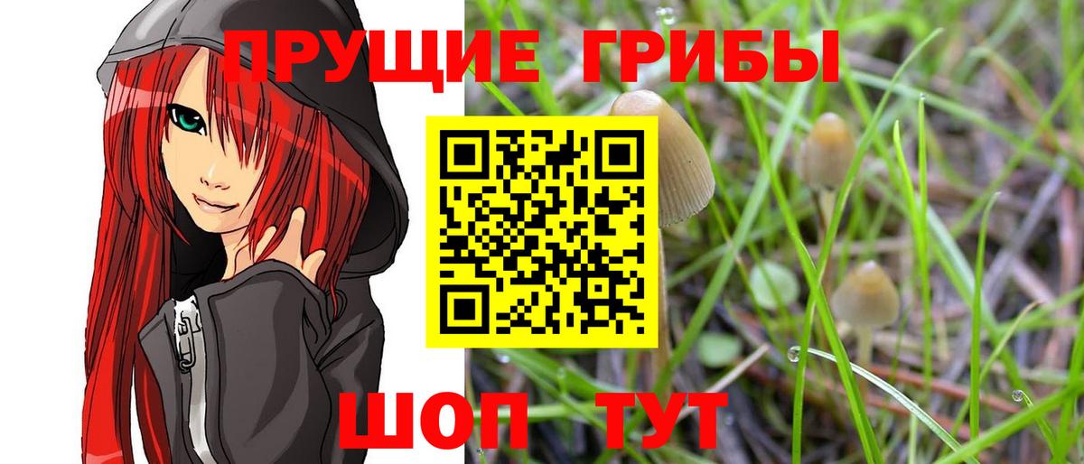Карпинск  Галлюциногенные грибы GOLDEN TEACHER  Галлюциногенные грибы GOLDEN TEACHER  Вход с VPN 